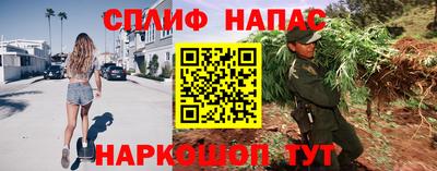 стафф Моздок