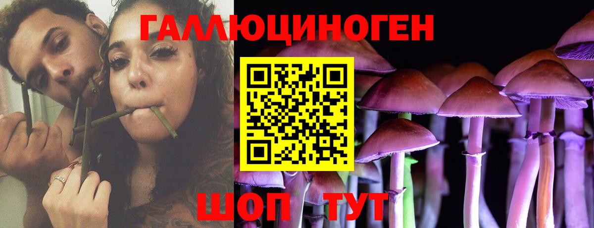 Галлюциногенные грибы Magic Shrooms Великий Устюг